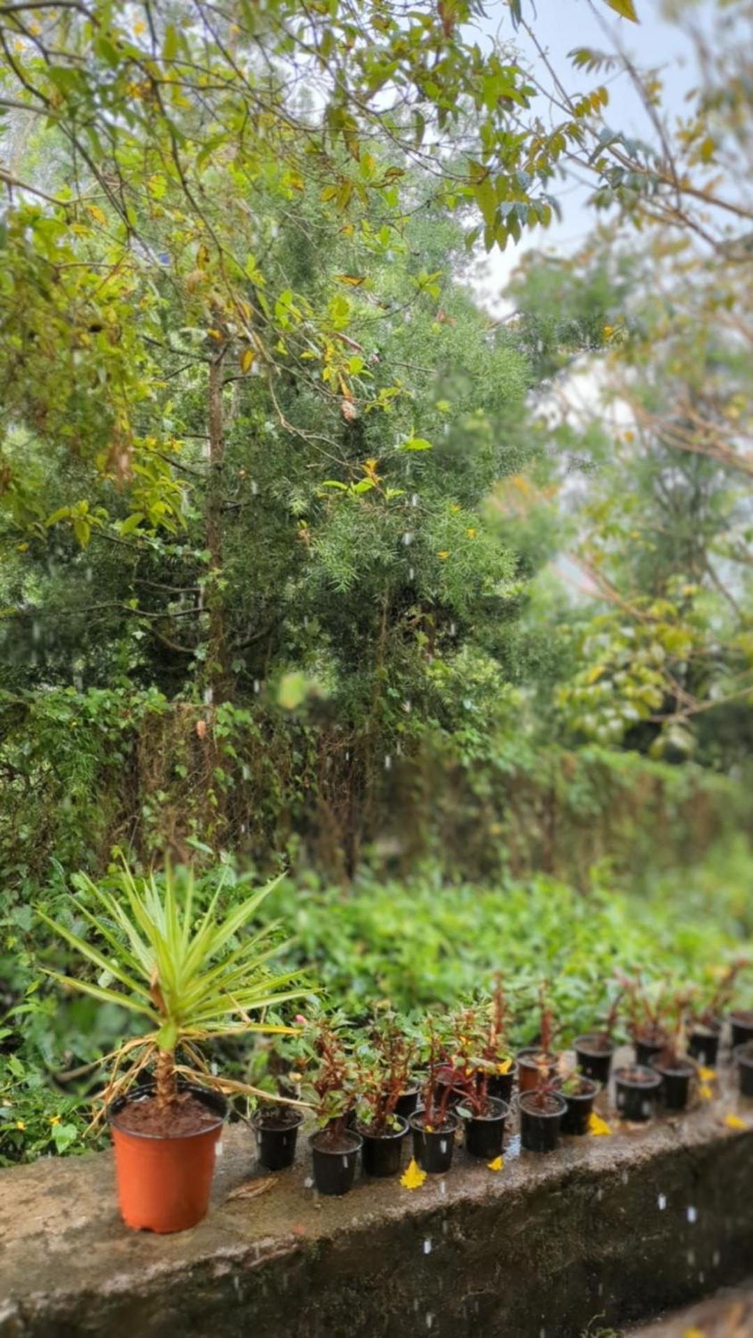 Ghar Homestay, Kotagiri Exterior foto